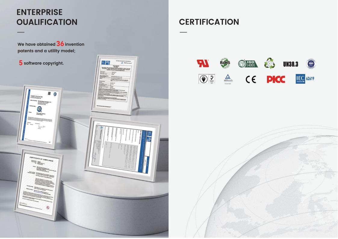 Introduction of the New Energy Company Introduction of the New Energy Company